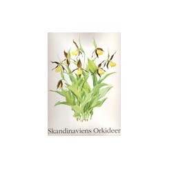 Scandinaviens Orkideer