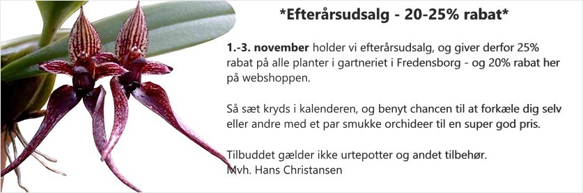 Efterårsudsalg